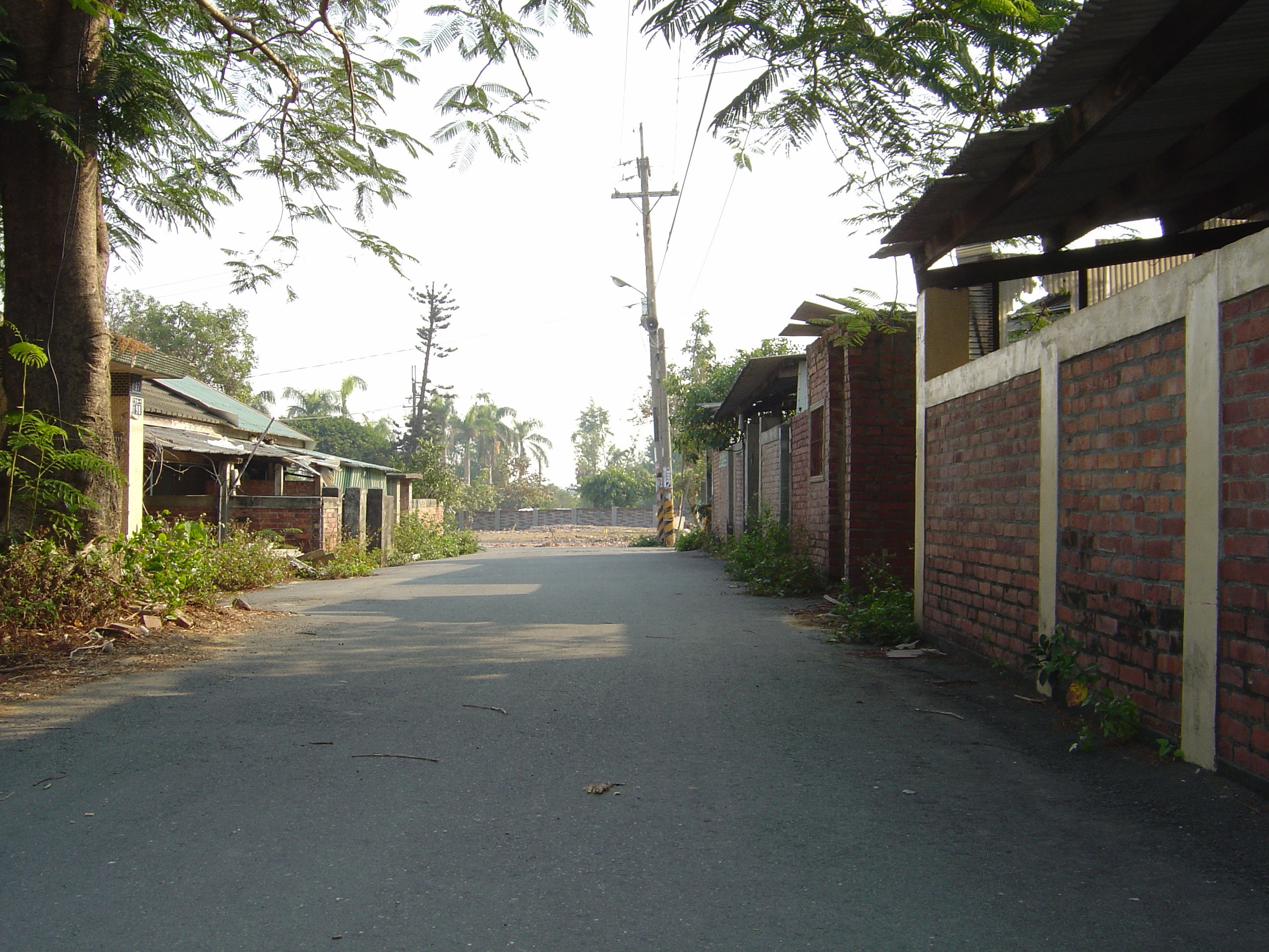 彰化八卦山台鳳社區，前身今世